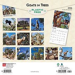 Goats in Trees 2026 Square Flap Wall Calendar slide 2 of 4