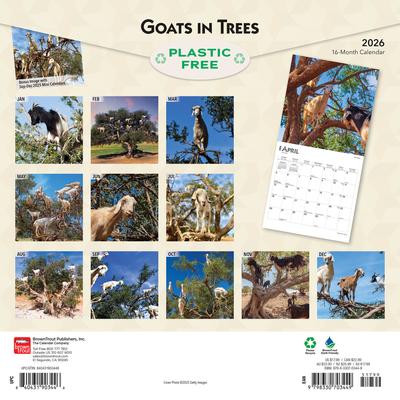 Show full view: Goats in Trees 2026 Square Flap Wall Calendar slide 2 of 4