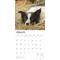 Show in main carousel: Border Collies 2026 Square Flap Wall Calendar slide 3 of 4