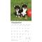 Show in main carousel: Chihuahuas 2026 Square Flap Wall Calendar slide 4 of 4