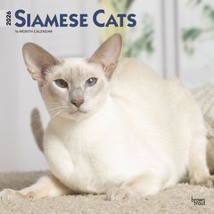 Siamese Cats 2026 Square Flap Wall Calendar