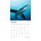 Show in main carousel: Sharks 2026 Square Flap Wall Calendar slide 3 of 4