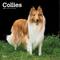 Show in main carousel: Collies 2026 Square Flap Wall Calendar slide 1 of 4