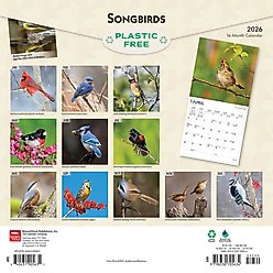 Songbirds 2026 Square Flap Foil Wall Calendar slide 2 of 4