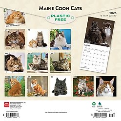 Maine Coon Cats 2026 Square Flap Wall Calendar slide 2 of 4