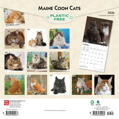 Show full view: Maine Coon Cats 2026 Square Flap Wall Calendar slide 2 of 4