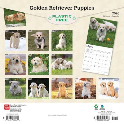 Show full view: Golden Retriever Puppies 2026 Square Flap Wall Calendar slide 2 of 4