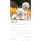 Show in main carousel: Bichon Frise 2026 Square Flap Wall Calendar slide 3 of 4