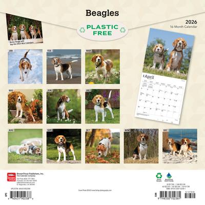 Show full view: Beagles 2026 Square Flap Wall Calendar slide 2 of 4