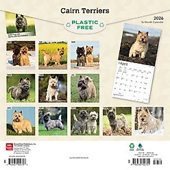Cairn Terriers 2026 Square Flap Wall Calendar slide 2 of 4