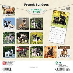 French Bulldogs 2026 Square Flap Wall Calendar slide 2 of 4
