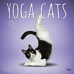 Yoga Cats 2026 Square Flap Wall Calendar