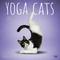 Show in main carousel: Yoga Cats 2026 Square Flap Wall Calendar slide 1 of 4