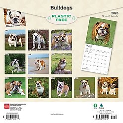 Bulldogs 2026 Square Flap Wall Calendar slide 2 of 4