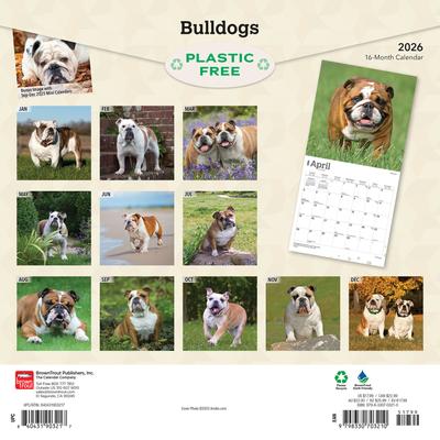 Show full view: Bulldogs 2026 Square Flap Wall Calendar slide 2 of 4