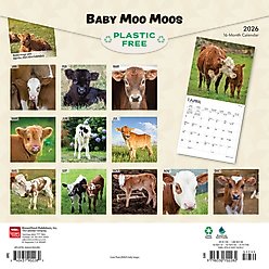 Baby Moo Moos 2026 Square Flap Wall Calendar slide 2 of 4