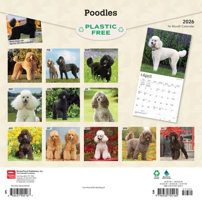 Show full view: Poodles 2026 Square Flap Wall Calendar slide 2 of 4