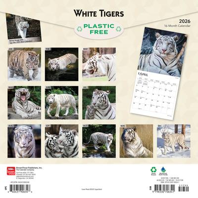 Show full view: White Tigers 2026 Square Flap Wall Calendar slide 2 of 4