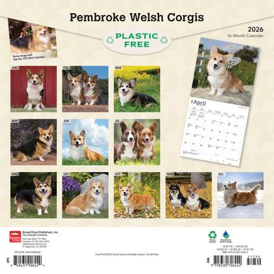 Show full view: Welsh Corgis, Pembroke 2026 Square Flap Wall Calendar slide 2 of 4