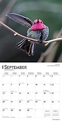 Hummingbirds 2026 Square Flap Foil Wall Calendar slide 2 of 4