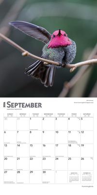 Show full view: Hummingbirds 2026 Square Flap Foil Wall Calendar slide 4 of 4