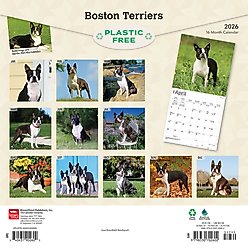 Boston Terriers 2026 Square Flap Wall Calendar slide 2 of 4
