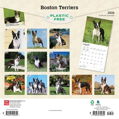 Show full view: Boston Terriers 2026 Square Flap Wall Calendar slide 2 of 4