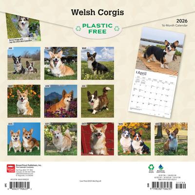 Show full view: Welsh Corgis 2026 Square Flap Wall Calendar slide 2 of 4