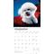 Show in main carousel: Bichon Frise 2026 Square Flap Wall Calendar slide 4 of 4
