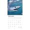 Show in main carousel: Sharks 2026 Square Flap Wall Calendar slide 4 of 4