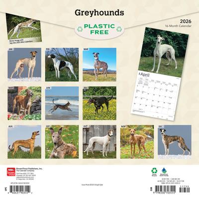 Show full view: Greyhounds 2026 Square Flap Wall Calendar slide 2 of 4