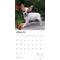 Show in main carousel: Chihuahua Puppies 2026 Square Flap Wall Calendar slide 3 of 4