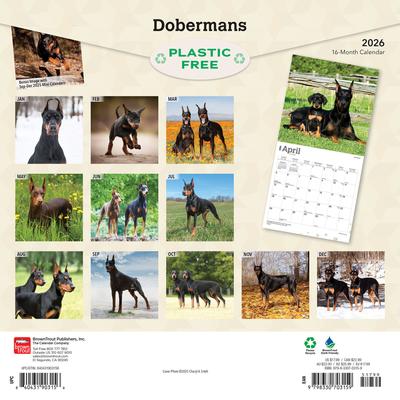Show full view: Dobermans 2026 Square Flap Wall Calendar slide 2 of 4