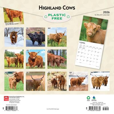 Show full view: Highland Cows 2026 Square Flap Wall Calendar slide 2 of 4