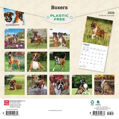 Show full view: Boxers International Edition 2026 Square Flap Wall Calendar slide 2 of 4