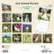 Show in main carousel: Jack Russell Terriers 2026 Square Flap Wall Calendar slide 2 of 4