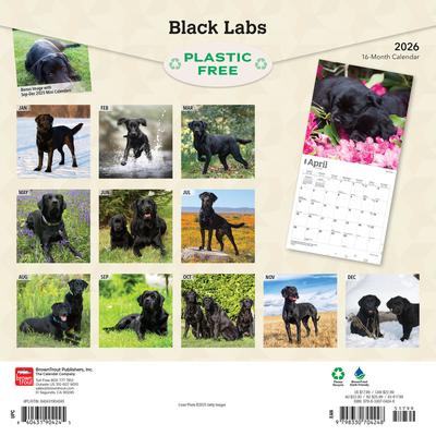 Show full view: Labrador Retrievers, Black 2026 Square Flap Wall Calendar slide 2 of 4
