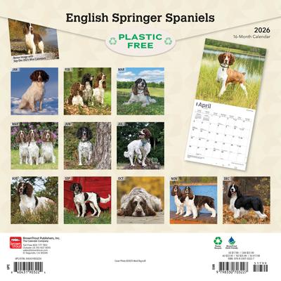 Show full view: English Springer Spaniels 2026 Square Flap Wall Calendar slide 2 of 4