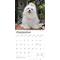 Show in main carousel: Maltese 2026 Square Flap Wall Calendar slide 4 of 4