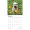 Show in main carousel: Wheaten Terriers, Soft Coated 2026 Square Flap Wall Calendar slide 3 of 4