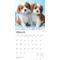 Show in main carousel: Cavalier King Charles Spaniel Puppies 2026 Square Flap Wall Calendar slide 3 of 4