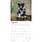 Show in main carousel: Border Collie Puppies 2026 Square Flap Wall Calendar slide 3 of 4