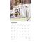 Show in main carousel: White Tigers 2026 Square Flap Wall Calendar slide 3 of 4