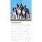 Show in main carousel: Boston Terriers 2026 Square Flap Wall Calendar slide 4 of 4