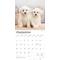 Show in main carousel: Bichon Frise Puppies 2026 Square Flap Wall Calendar slide 4 of 4