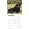 Show in main carousel: Schnauzer Puppies 2026 Square Flap Wall Calendar slide 4 of 4
