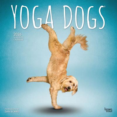 Show full view: Yoga Dogs 2026 Square Flap Wall Calendar slide 1 of 4
