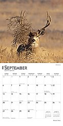 Monster Bucks 2026 Square Flap Wall Calendar slide 2 of 4