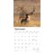 Show in main carousel: Monster Bucks 2026 Square Flap Wall Calendar slide 4 of 4