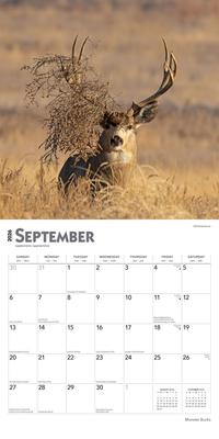 Show full view: Monster Bucks 2026 Square Flap Wall Calendar slide 4 of 4